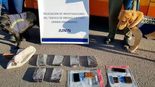 Detienen a un hermano de Barijho y a dos choferes de un micro con seis kilos de cocaína