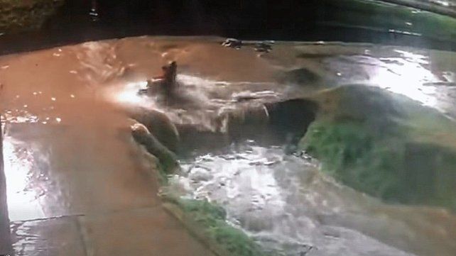 La moto cayó en un desagüe con dos ocupantes en Concepción del Uruguay.