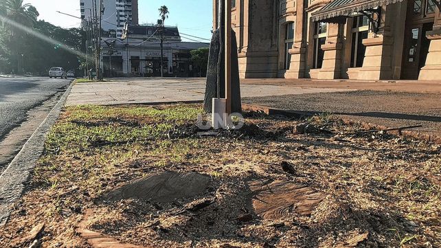 La extracción de árboles frente a la Estación Belgrano puso sobre la mesa de debate el estado de situación del bosque urbano de la ciudad.&nbsp;
