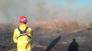 El SNMF se encuentra operando con un avión hidrante y un helicóptero con helibalde y para traslado de personal en incendios activos en Victoria&nbsp;