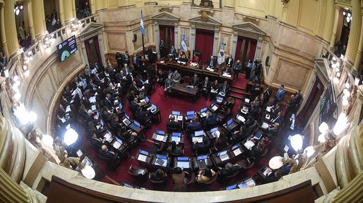 Los senadores aplaudieron a la selección argentina, pero no trataron la ley de propiedad privada