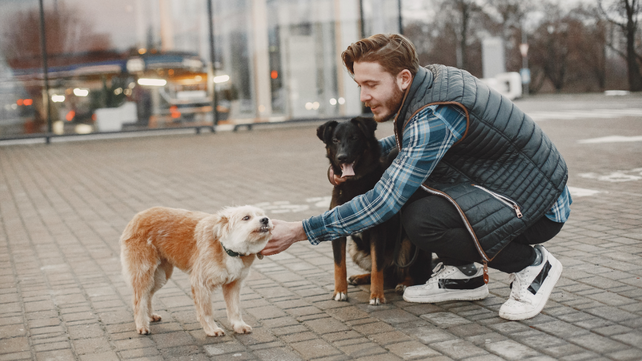 El gesto de acariciar a un perro esconde distintos significados