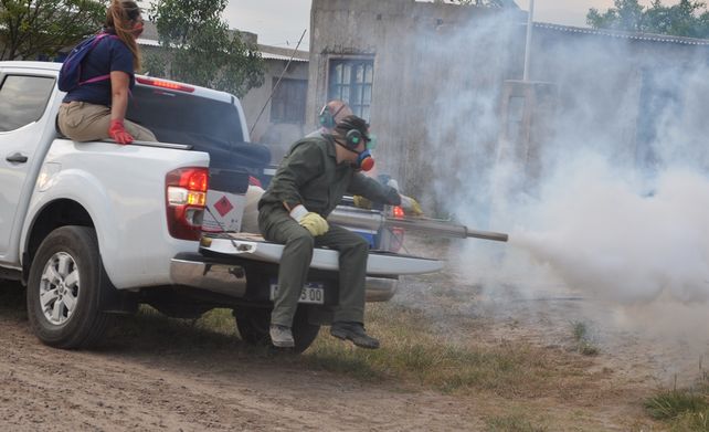 La fumigación debe ser acompañada por medidas que tomen los vecinos en sus hogares.