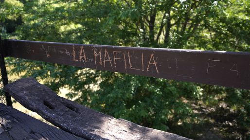 La fugaz carrera criminal del Hormiga, un títere de La Mafilia condenado por homicidio