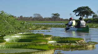 Jaaukanigás invita a hacer paseos en kayak, bici y a pie.&nbsp;