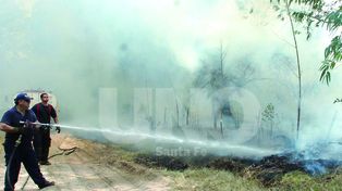 En junio se registraron 220 quemas de pastizales