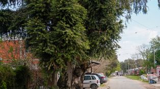 Crimen en la zona sur: asesinaron a balazos a un chico de 14 años