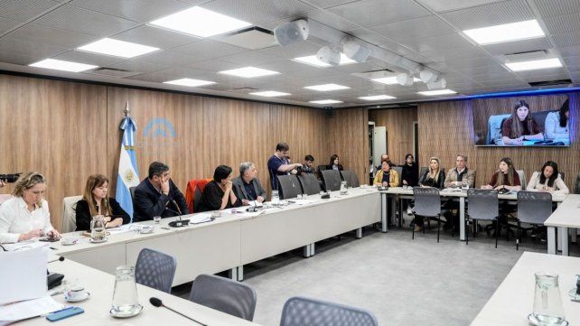 Médicos del Garrahan expondrán en la Comisión de Familias