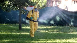 Brote de dengue en Santa Fe: ¿cuáles son los barrios más afectados?