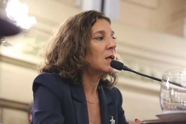 &nbsp;La medida