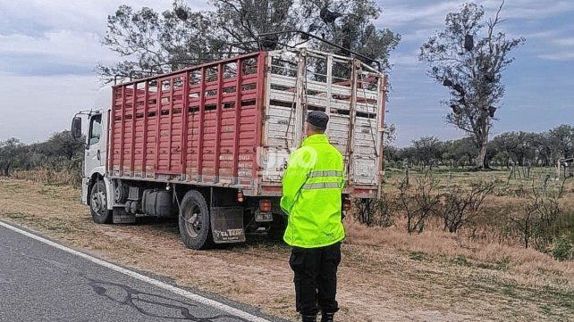 Operativo en Cayastá. La Guardia Provincial secuestró 15 vacunos transportados sin documentación en un camión.
