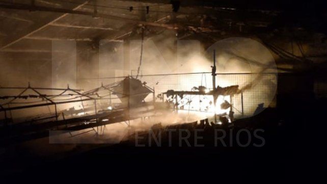 Voraz incendio consumió un galpón con miles de pollitos en Santa Elena.