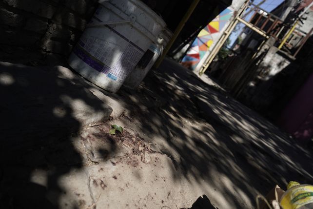 Viviana Guevara tenía 28 años. Fue asesinada a balazos en la puerta de su casa de Ayacucho al 4000