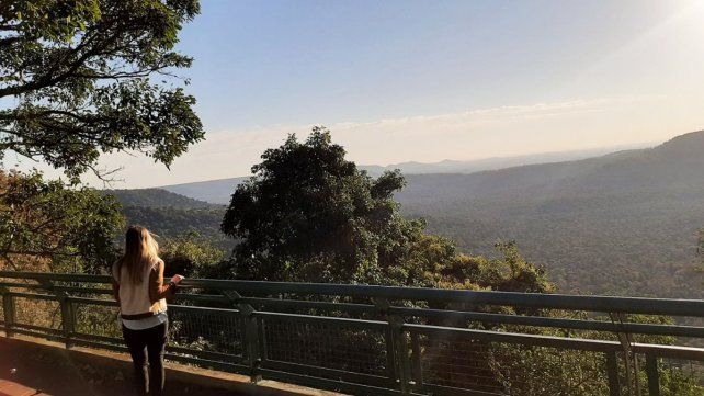 Senderos en la selva