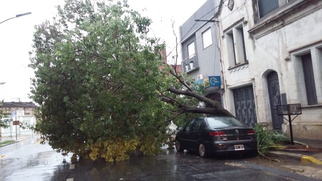 Ituzaingó y Dorrego. Un auto sufrió los efectos del temporal.&nbsp;