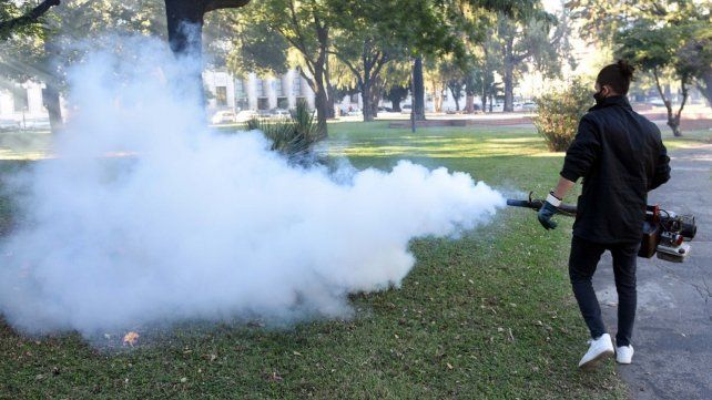 Confirmaron el primer caso autóctono de dengue en Rosario