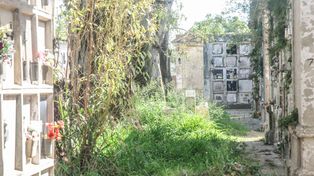 Cementerio: siguen retirando cuerpos a 70 días del derrumbe