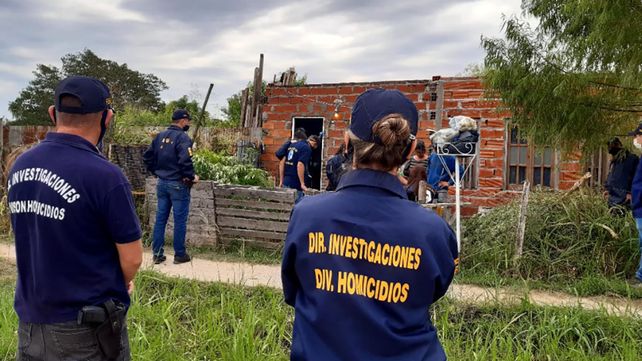 Paraná: encontraron plantas de marihuana de cuatro metros&nbsp;