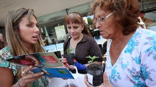 Con una creación colectiva, la ciudad rindió homenaje a sus mujeres