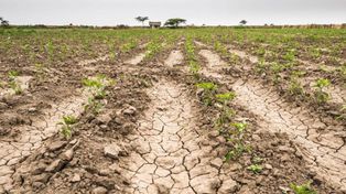 Lo que ha hecho sí el calor es aumentar la evaporación de la poca agua.
