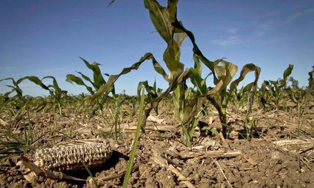 El especialista advierte que se juntaron todas las condiciones climáticas desfavorables para tener una muy pobre calidad.
