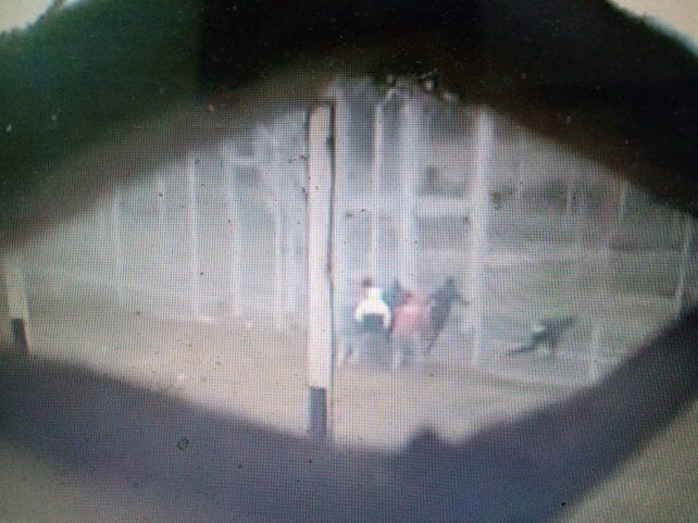 El momento del escape filmado por uno de los internos desde adentro del penal.