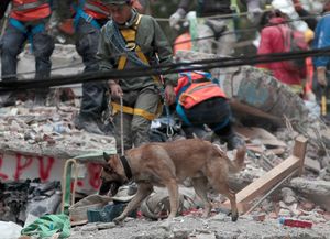 Se eleva a 318 la cifra de muertos por terremoto en México