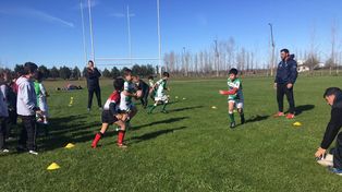 Dos exPumas en Querandí RC