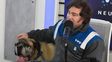 Milei apareció en varias aportunidades con el mameluco de YPF.