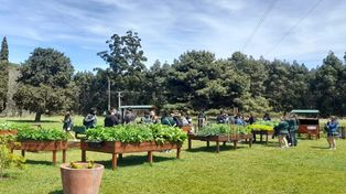 Jornadas de Educación Ambiental