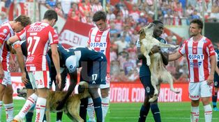 Murió Robertito, el perro que se ganó el corazón del hincha de Unión