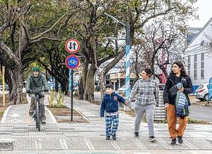 A dos semanas de su inauguración, vandalizaron la remodelada avenida Aristóbulo del Valle: robaron farolas y cortaron cables