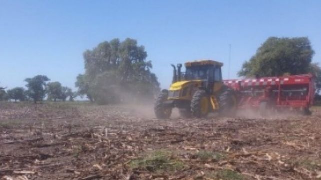 El 25% del área de maíz presenta una condición hídrica entre regular y seca. El 25% del área de maíz presenta una condición hídrica entre regular y seca.