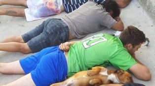Un perro se rindió junto a una banda de delincuentes en un operativo antinarco de la policía