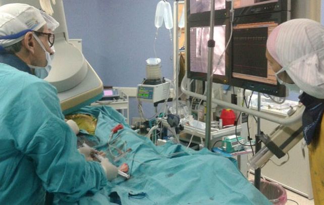 Para la compleja intervención en el Centenario fue necesario un trabajo interdisciplinario.