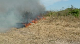 Alerta por incendios de pastizales en zonas rurales