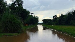 Intensa lluvia en Santa Fe: en un barrio cayeron cerca de 50 milímetros en pocos minutos