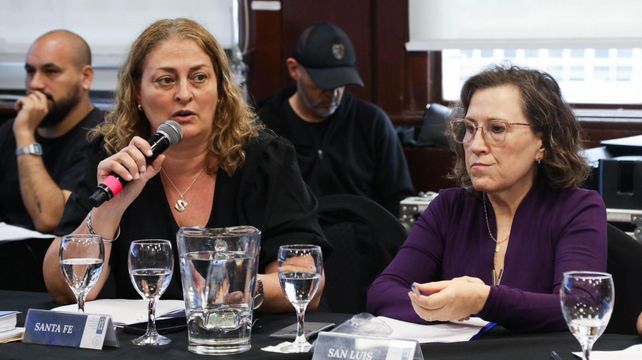 La ministra santafesina de Salud en la reunión de Cofesa