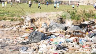 ¿Y la calle?: la basura y los líquidos cloacales coparon Padre Genesio