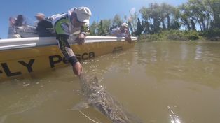 Sólo se permite la pesca deportiva con devolución inmediata, en este caso, del surubí.&nbsp;