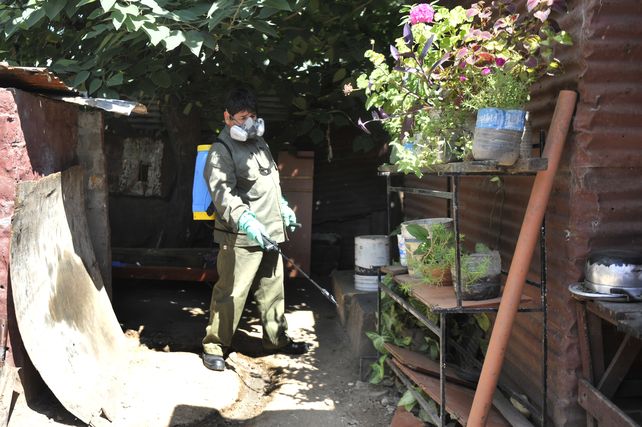 El descacharrado y limpieza de patios y jardines