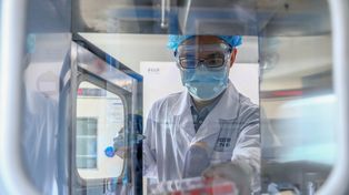 La OMS comenzó a buscar el origen del coronavirus en Wuhan, la ciudad que reportó los primeros casos de covid en 2019.