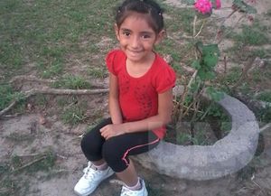 Aylén, la nena que cayó del juego, sigue grave y en terapia intensiva