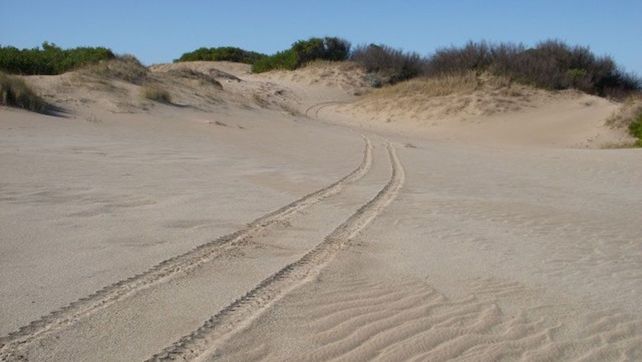 Villa Gesell: una mujer se perdió en las dunas cuando volvía de la playa y murió