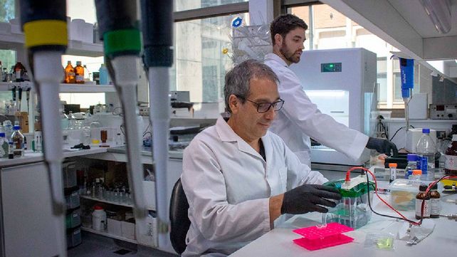 Los técnicos de CONICET altamente capacitados llevan adelante la preparación de muestras y operación del complejo equipamiento de la UEM. En la foto: Enrique Morales y Alejo Cantoia.