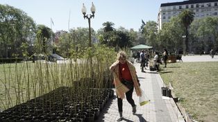 Desde 2022, ya se entregaron unos 7 mil ejemplares de árboles nativos producidos en el vivero de la faculta de Ciencias Agrarias de la UNR.