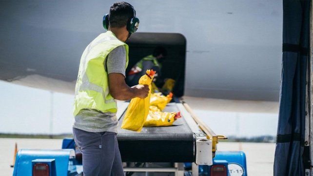Se podrá exportar desde el Aeropuerto Internacional de Rosario sin pasar por Ezeiza Se podrá exportar desde el Aeropuerto Internacional de Rosario sin pasar por Ezeiza
