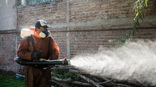 Detectaron otro caso de dengue en San Agustín