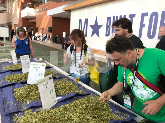 Por quinto año consecutivo, presentes en el paraíso cervecero