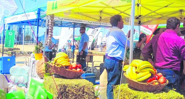 La producción hortícola de la región se mostró en General Lagos